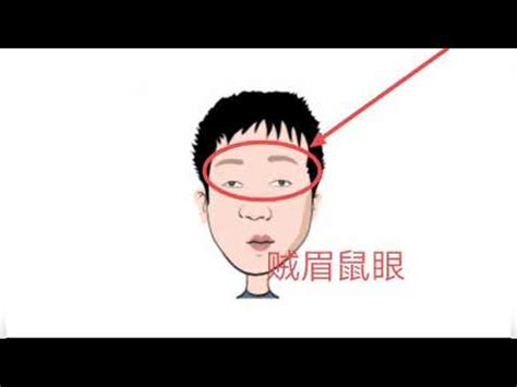 賊眉鼠眼意思|賊眉鼠眼